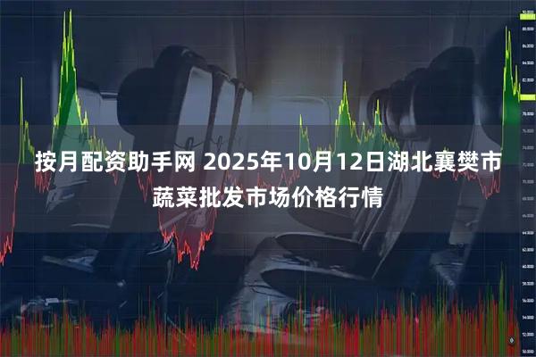 按月配资助手网 2025年10月12日湖北襄樊市蔬菜批发市场价格行情